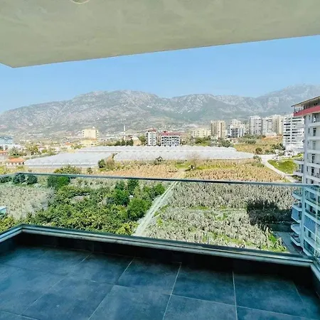 Mountain View *